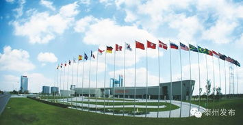 新春開門紅 20個產業化項目扎堆中國醫藥城，技術服務開啟新篇章