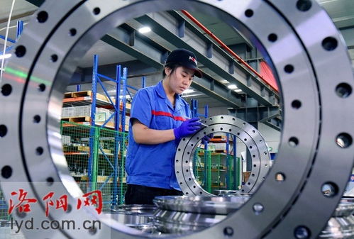 洛陽鴻元軸承科技 深耕精密軸承研發，以卓越技術開拓全球市場